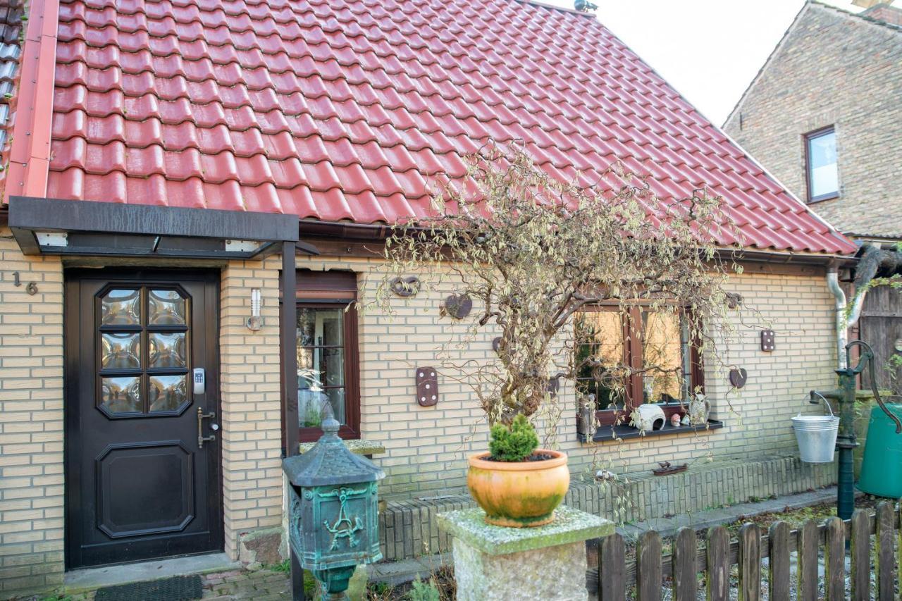 Ferienhaus Am Reiterhof Templin Ngoại thất bức ảnh